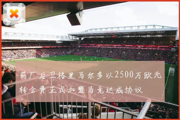 药厂后卫格里马尔多以2500万欧元转会费正式加盟马竞达成协议